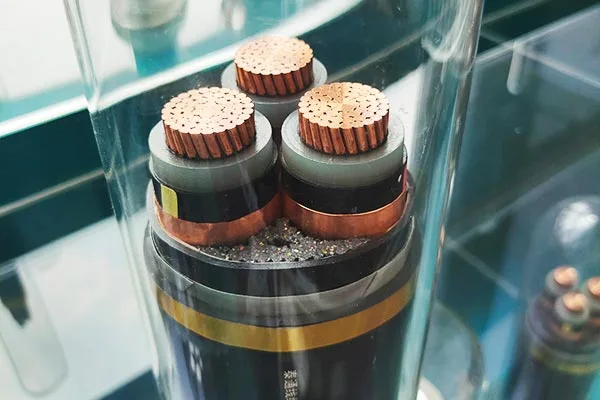 ဘက်စုံဝန်ဆောင်မှုပံ့ပိုးမှု