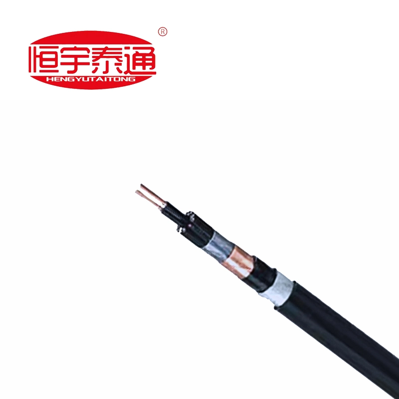 Fluoroplastic insulated အပူခံနိုင်ရည်ရှိသော အထူးကြိုးများ